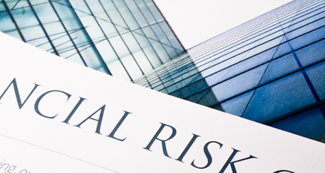 FRG, Financial Risk Group